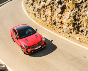 Kia Stinger Red Dynamic  (26)